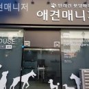 애견매니저 | 대구강아지분양 애견매니저 정말 만족스러웠던 분양 경험