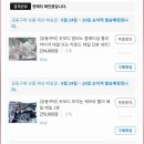 킴디스커스앤구피
