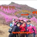 진달래주유소 이미지