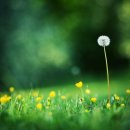 봉황세차장 이미지