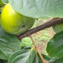 선달농장 이미지