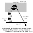 원적외선 제품의 건강 효능 이미지