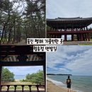 월송정로2 (중2-1) | 울진 가볼만한 곳 월송정 맨발산책길 해수욕장 관동팔경 부모님과 가기 좋은곳