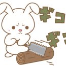 우사기짱