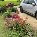 순천향로 이미지