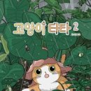 타타3