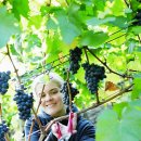 김창선농장 이미지