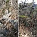 팔공산녹색길 숲길 2코스 이미지