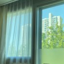 제일세탁 | 내돈내산 소피아 산후조리원 후기