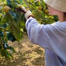 달천농장 이미지