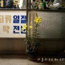 백합세탁소 이미지