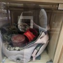 포포즈 반려동물장례식장 화성점 네이버블로그