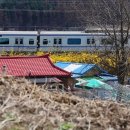 봄, 희망의소리 이미지