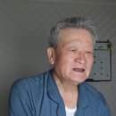 Pinocchio-3 이미지