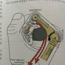 샌드피티 이미지