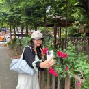 동일로163길 (14) | 창원여자의 일상 (아마도)