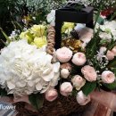 아띠-Lflower 이미지