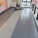 핑크애견 이미지