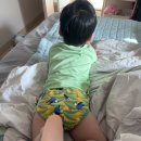 배변의기술 | 배변훈련팬티 클로즈 기저귀떼기 시기 사이즈 사용 후기