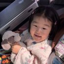 30개월 아이랑 호주여행_sydney편🇦🇺