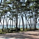 부산바로관광