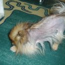 명지오션시티동물병원 이미지