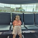 부황식당 | 안아병 레벨업한 두돌아기와 후쿠오카 -상