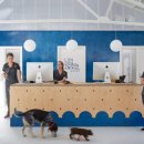 강아지와고양이나라 동물병원 이미지