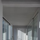 우성동백 이미지