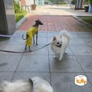 안면도IG 네이버블로그