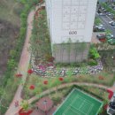 685공인중개사사무소 이미지