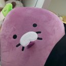 영월유앤아이펜션 | 2025 : August ( Part . 2 )