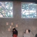 오조드파파