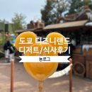 도쿄 디즈니랜드 간식 추천 미키마우스 아이스크림 베이맥스버거 츄러스 팝콘