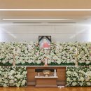 강수연 의원 이미지