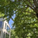 산골산내음 이미지