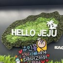 제주도 태교여행 1일차: 23주차 임산부 비행(대한항공) 후기 그리고 제주먹방