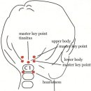 BODY POINT 이미지