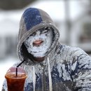 올리브 바닐라 이미지