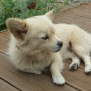 호수펜션 이미지