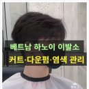 헤어컷트전문 티스토리
