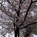 지도로 떠나는 세계 문화A 이미지