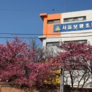 서울보광초등학교 이미지