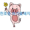 조진웅,이하늬 주연의 블랙머니를 관람후기~정의는 죽지 않고 조용히 사라질 뿐이다(cgv천호)