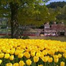 운호농장 이미지