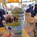 메가엠지씨커피강화도풍물 | 강화도 팥빙수추천 메가커피 컵빙수 신메뉴 말차젤라또 VS팥빙젤라또 내돈내산 승자는?