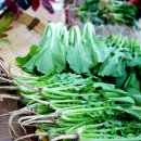 택배농장 이미지