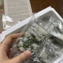 Review ✨ | 마레헤/마켓레이지헤븐 쑥버무리 🌿 내돈내산 솔직 후기!