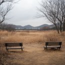 햇누리공인중개사사무소 | 공인중개사 사무소 개설 실전 매뉴얼: 공유오피스부터 신탁 이슈까지