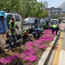 매현초등학교 이미지